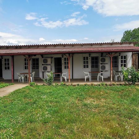 Casa Ioana Hotel Costinesti Buitenkant foto